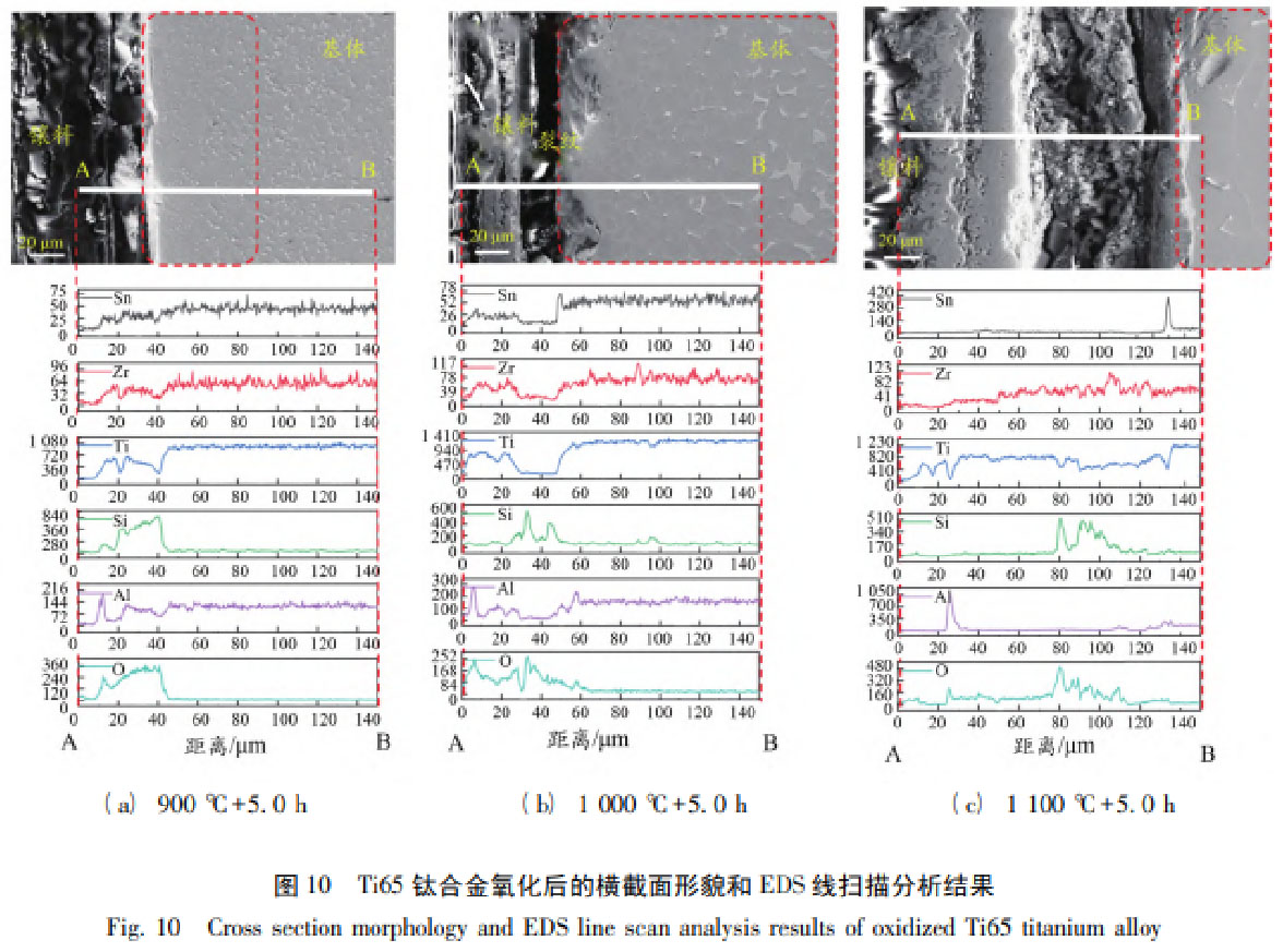 未標題-1.jpg