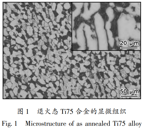 截圖20251227163417.png